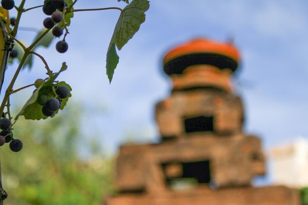 Corte Trullo Sovrano B&B Αλμπερομπέλο Εξωτερικό φωτογραφία