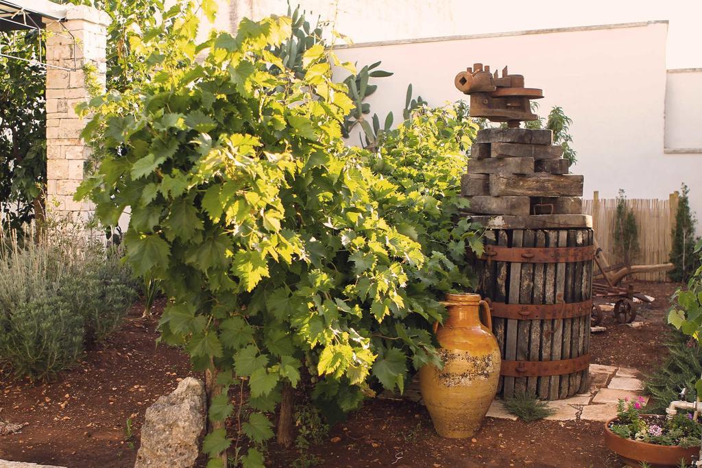 Corte Trullo Sovrano B&B Αλμπερομπέλο Εξωτερικό φωτογραφία